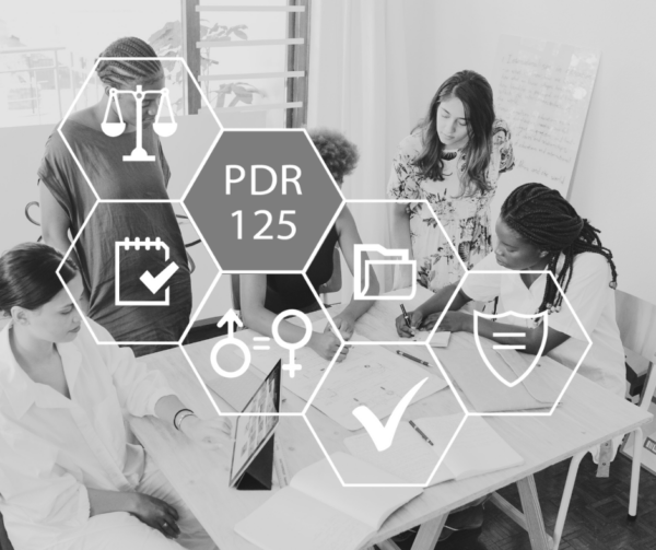 Sistema di Gestione per la Parità di Genere - PdR 125 - Settore 28